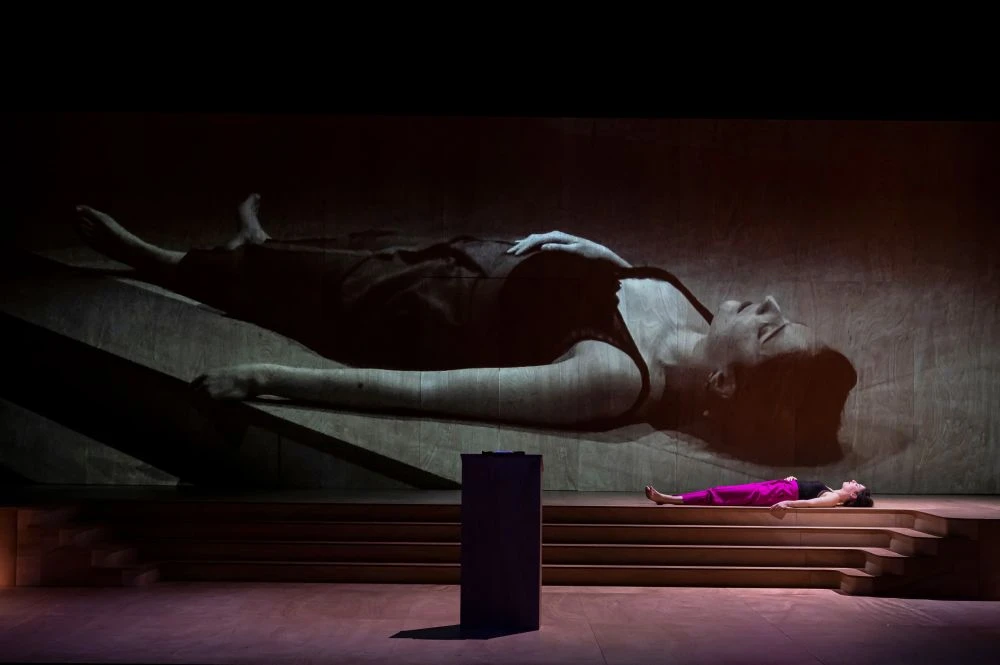 Opera The Carmen Case