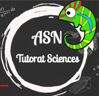 [Etudiants en L1 & L2] Besoin de soutien dans certaines matières ? Participez au tutorat de l'ASN !