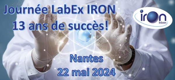 Journée LabEx IRON : 13 ans de succès!