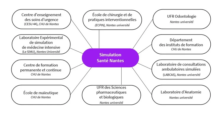 Schéma 10 entités simulation santé Nantes