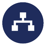 Droit et Sciences Politiques (DSP)