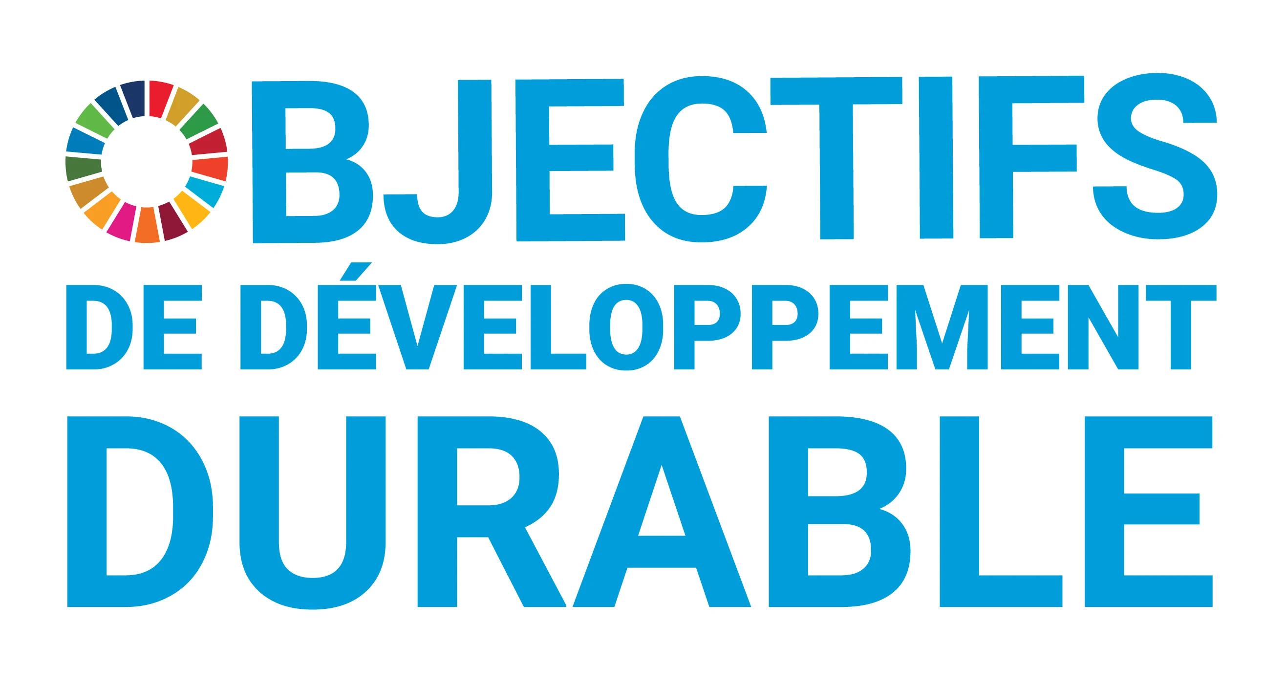 Logo Nations Unis - Objectifs de développement durable