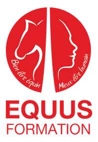 Equus formation equi coaching