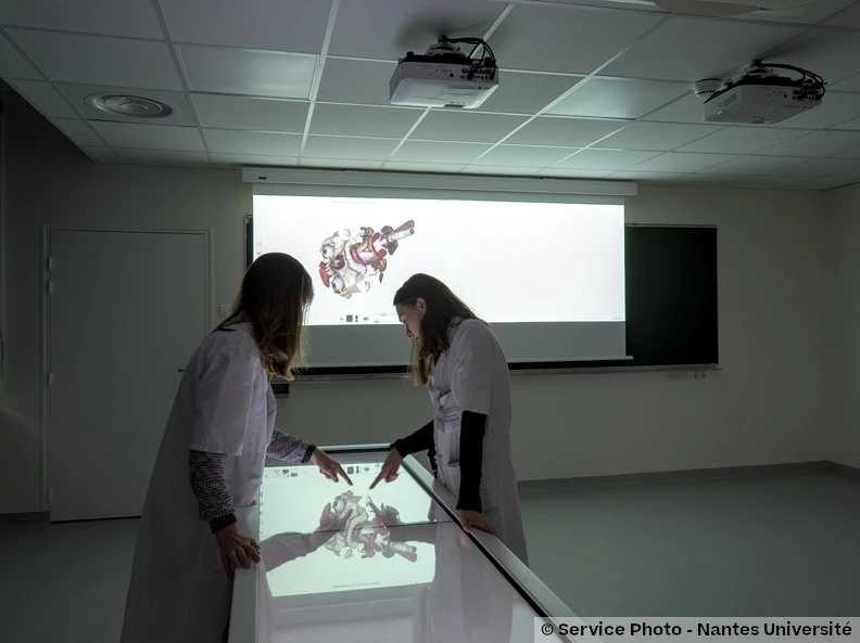 laboratoire d'Anatomie