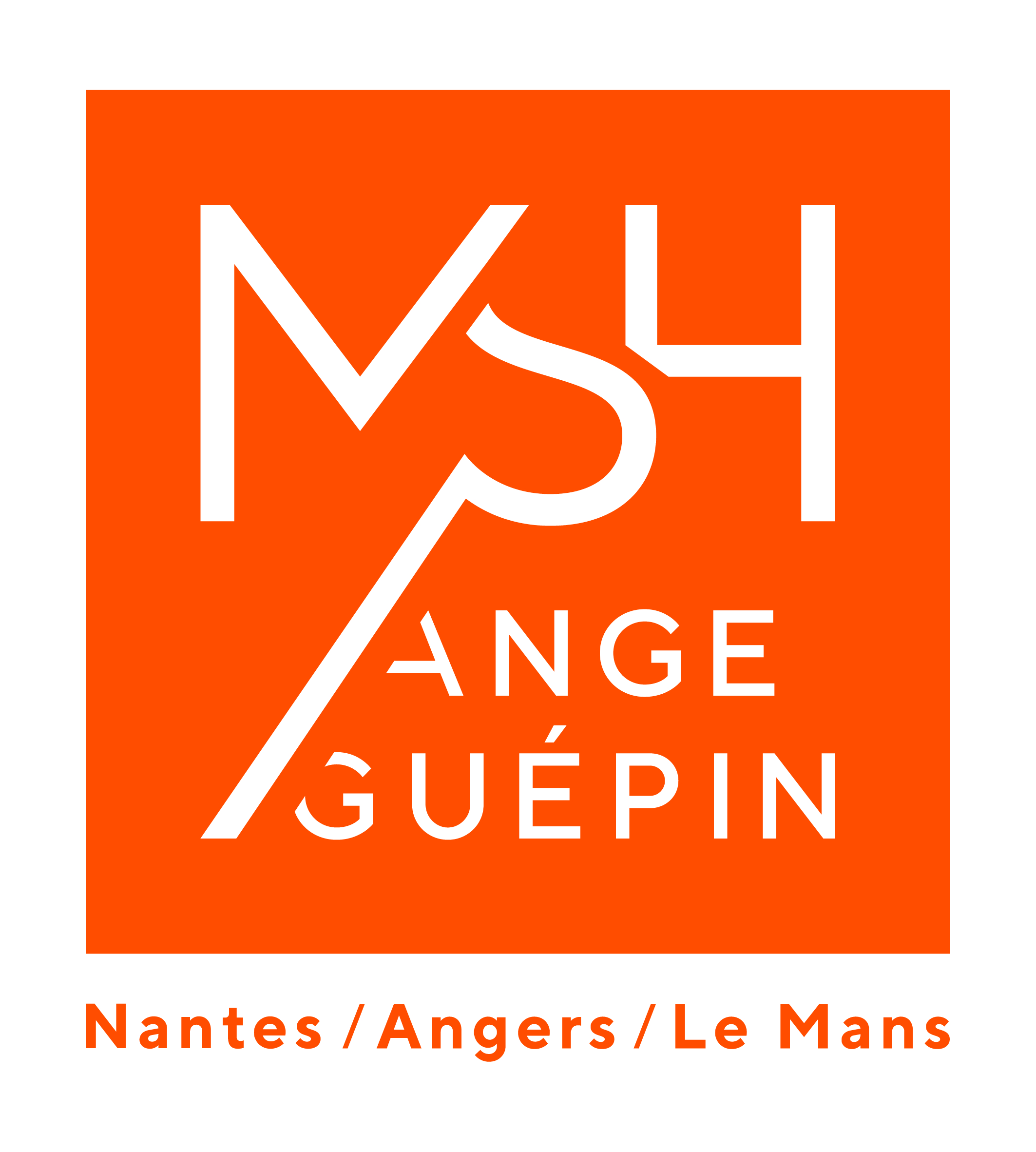 logo MSH Ange Guepin
