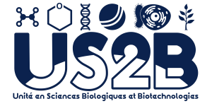 logo US2B