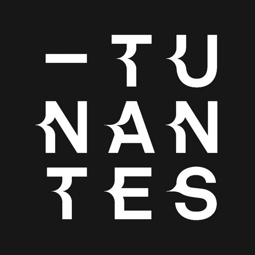 logo TU Nantes
