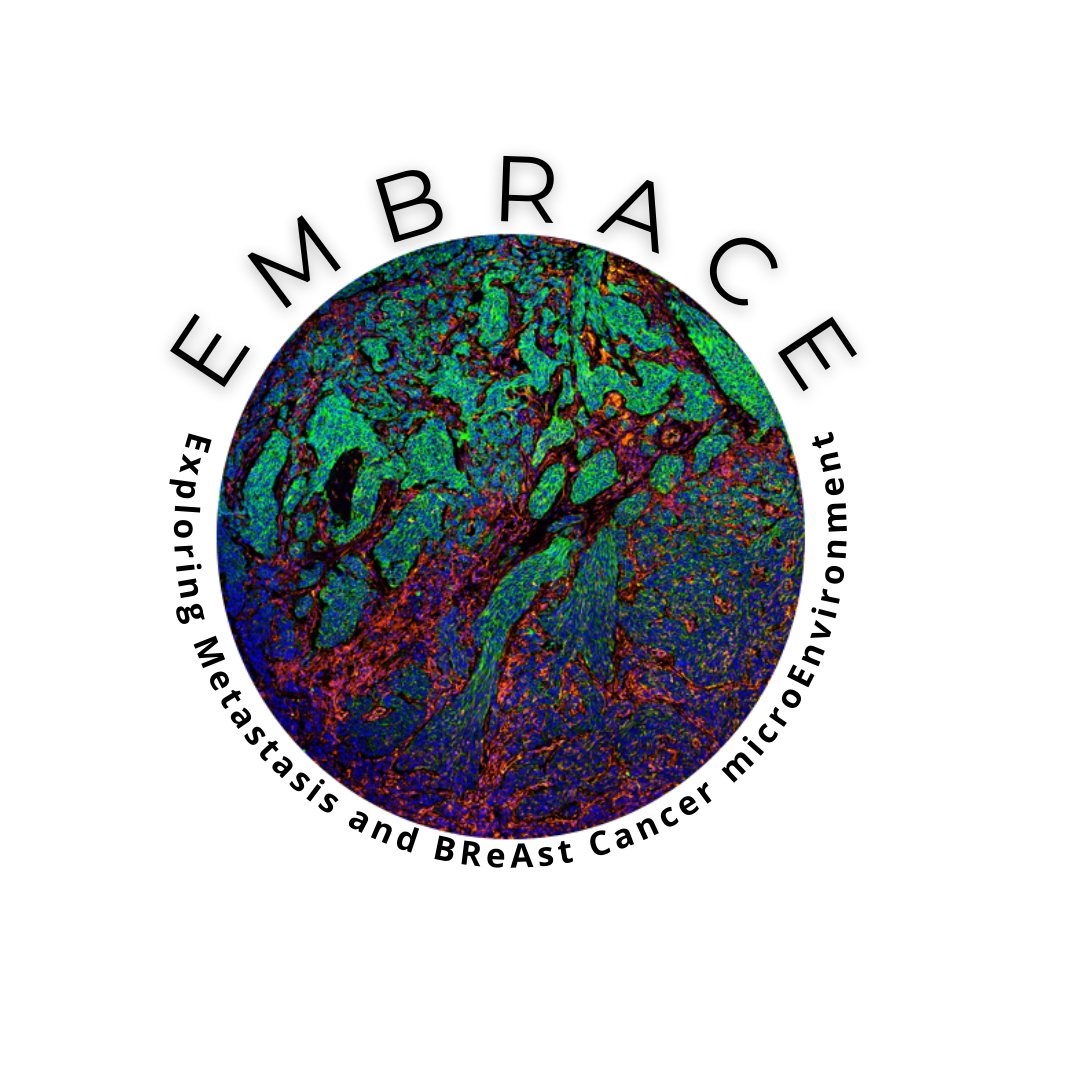 logo EMBRACE