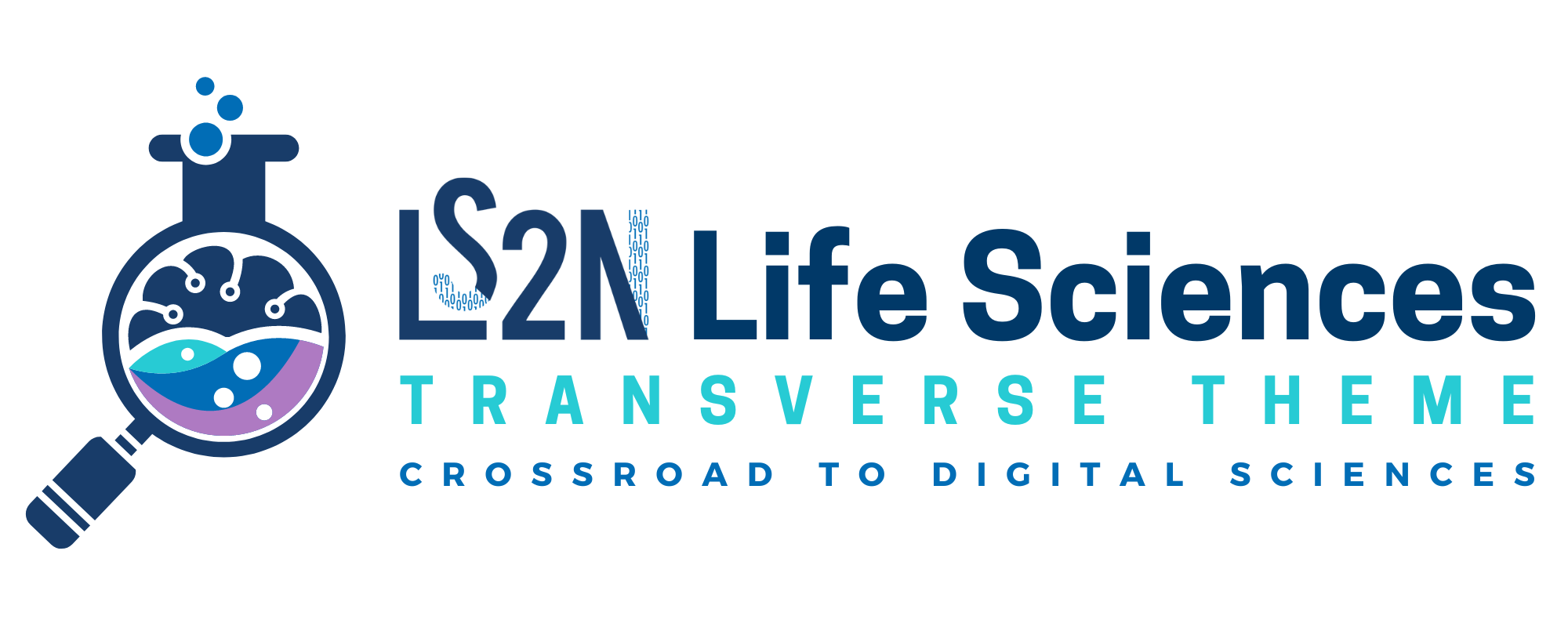 LS2N-SDV logo
