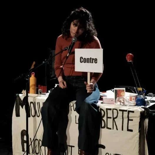 The aborrrtion ship - Fauves 2026