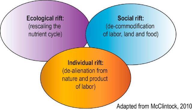 Bahers, J.-B, Giacchè, G. (2018). Towards a metabolic rift analysis: The case of urban agriculture and organic waste management in Rennes (France), Geoforum,